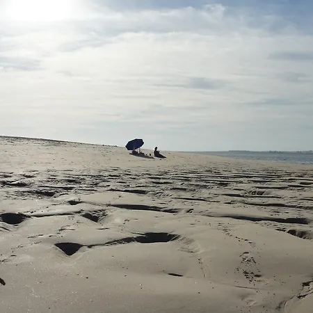 Lovely New House - Guests Apartments *